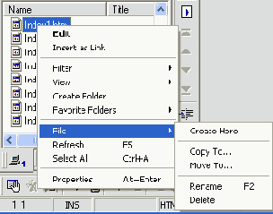 Web   Macromedia HOMESITE

