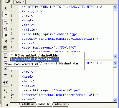 Web   Macromedia HOMESITE

