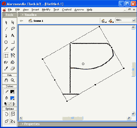    Free Transform Tool